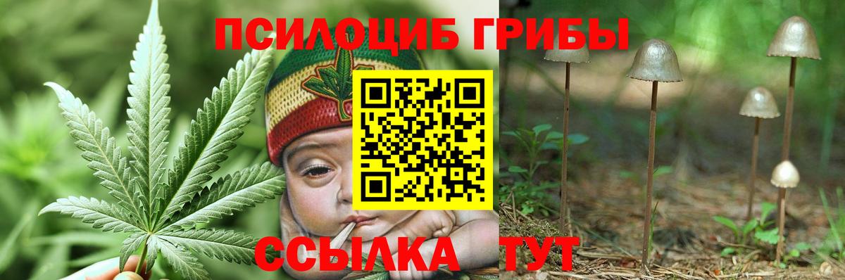 Таганрог  Псилоцибиновые грибы Psilocybe  как найти   Вход с VPN 