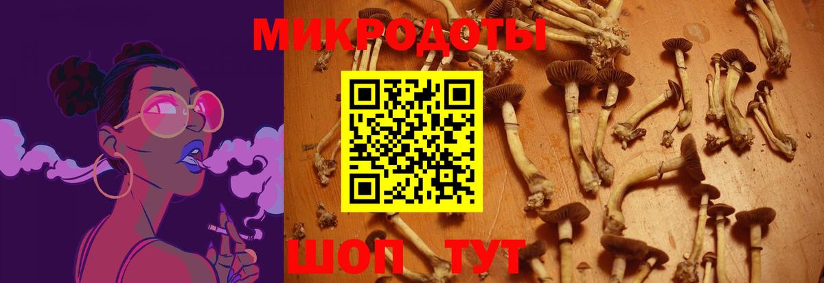 Псилоцибиновые грибы MAGIC MUSHROOMS Таганрог